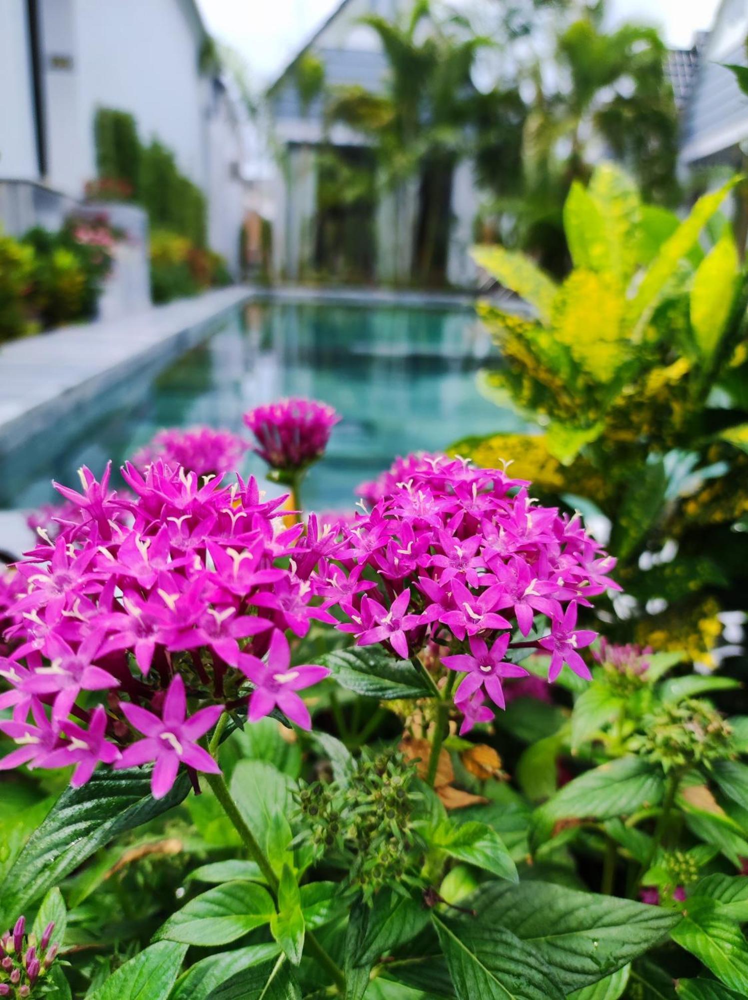 Ngoc Trai Xanh Bungalow Phu Quoc Eksteriør bilde