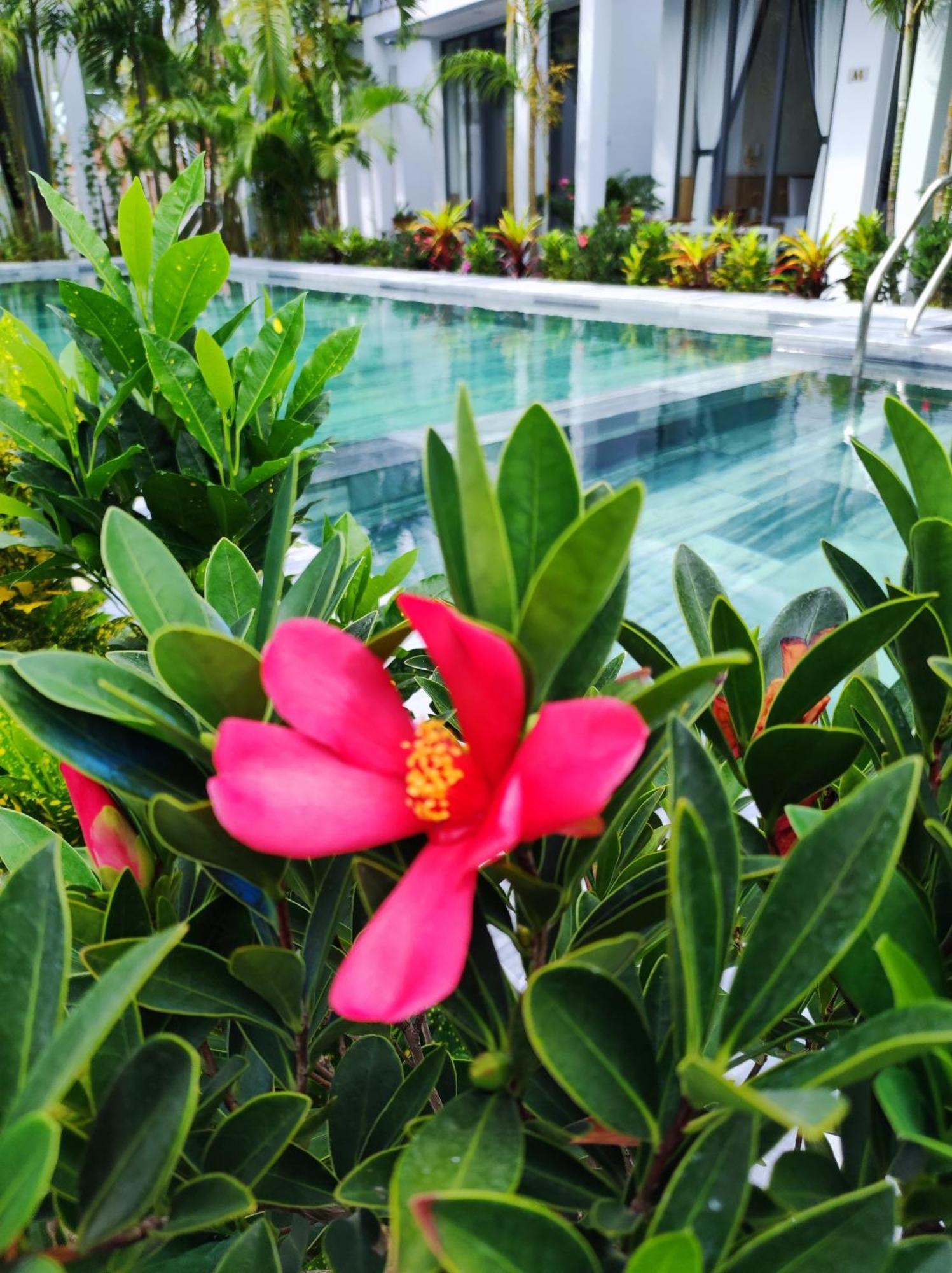 Ngoc Trai Xanh Bungalow Phu Quoc Eksteriør bilde