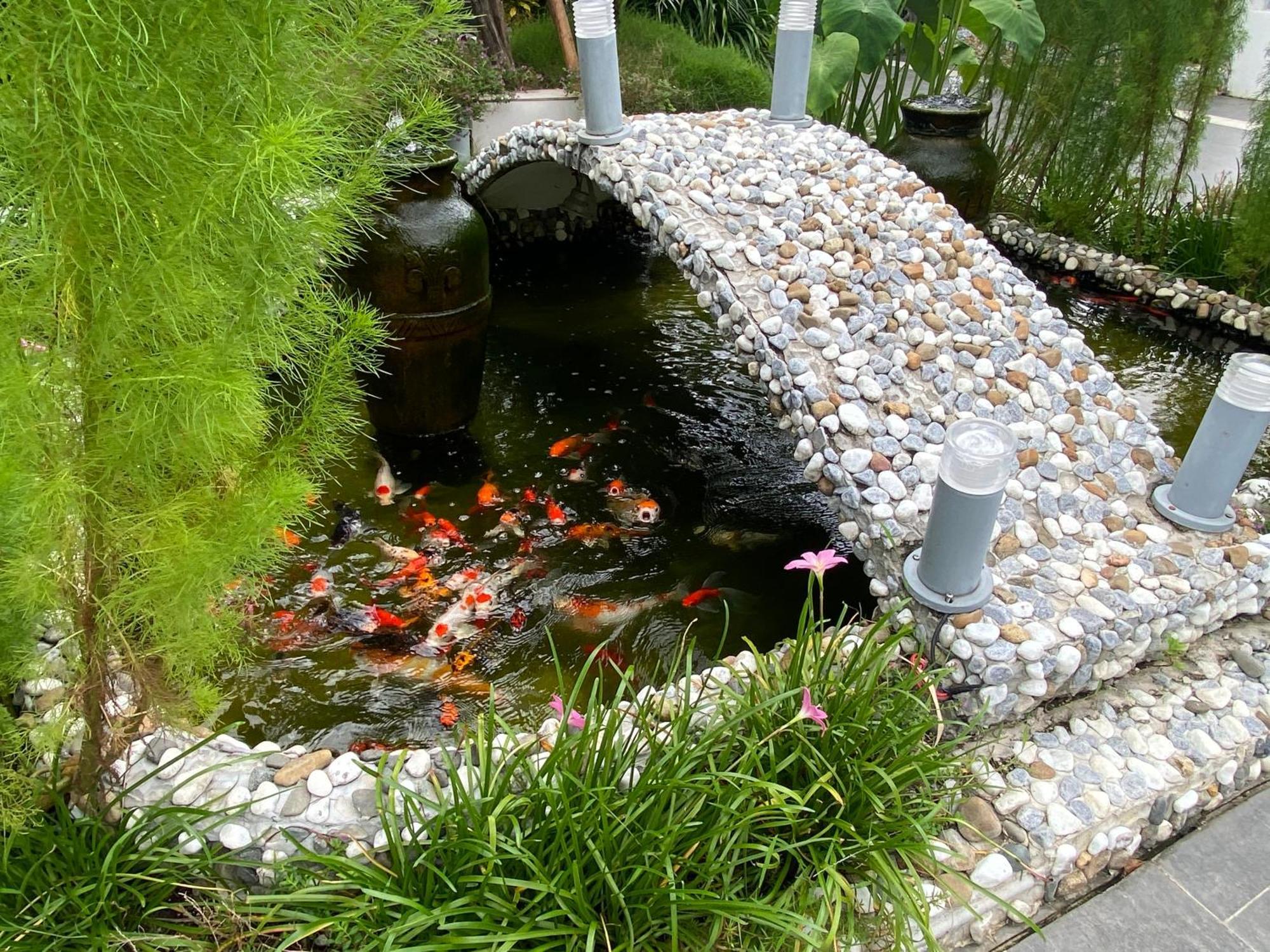 Ngoc Trai Xanh Bungalow Phu Quoc Eksteriør bilde